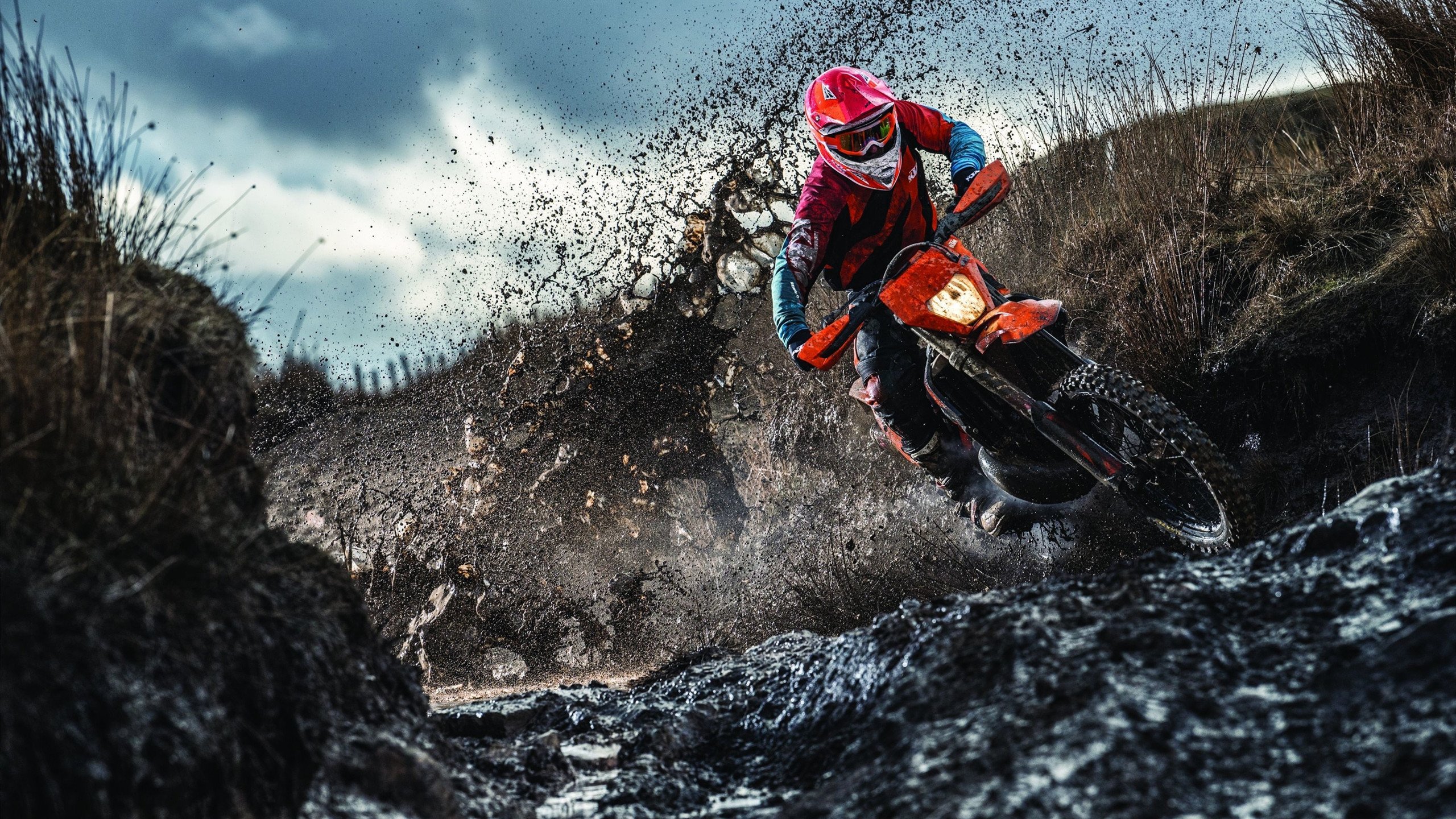 电竞赛场焦点!荷兰队对阵法国队,战况跌宕起伏,悬念直到终场